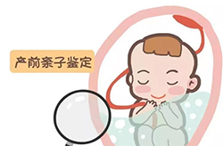 南通孕期亲子鉴定收费明细，南通怀孕亲子鉴定如何办理